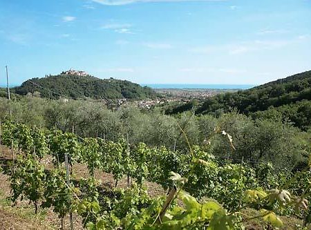 La Sarticola Βίλα Luni Εξωτερικό φωτογραφία
