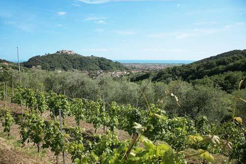 La Sarticola Βίλα Luni Εξωτερικό φωτογραφία